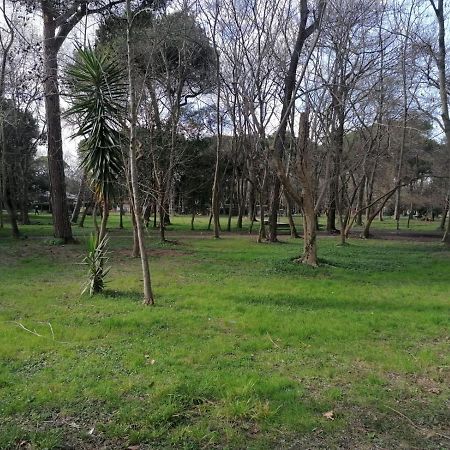 La Casina Giramondo Di Ele Viareggio Zewnętrze zdjęcie